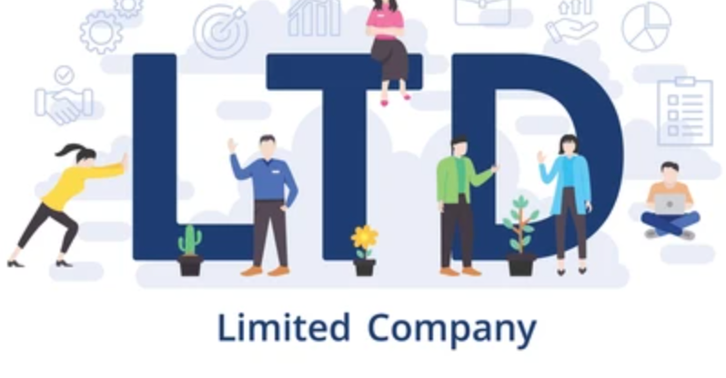 Public Limited Company